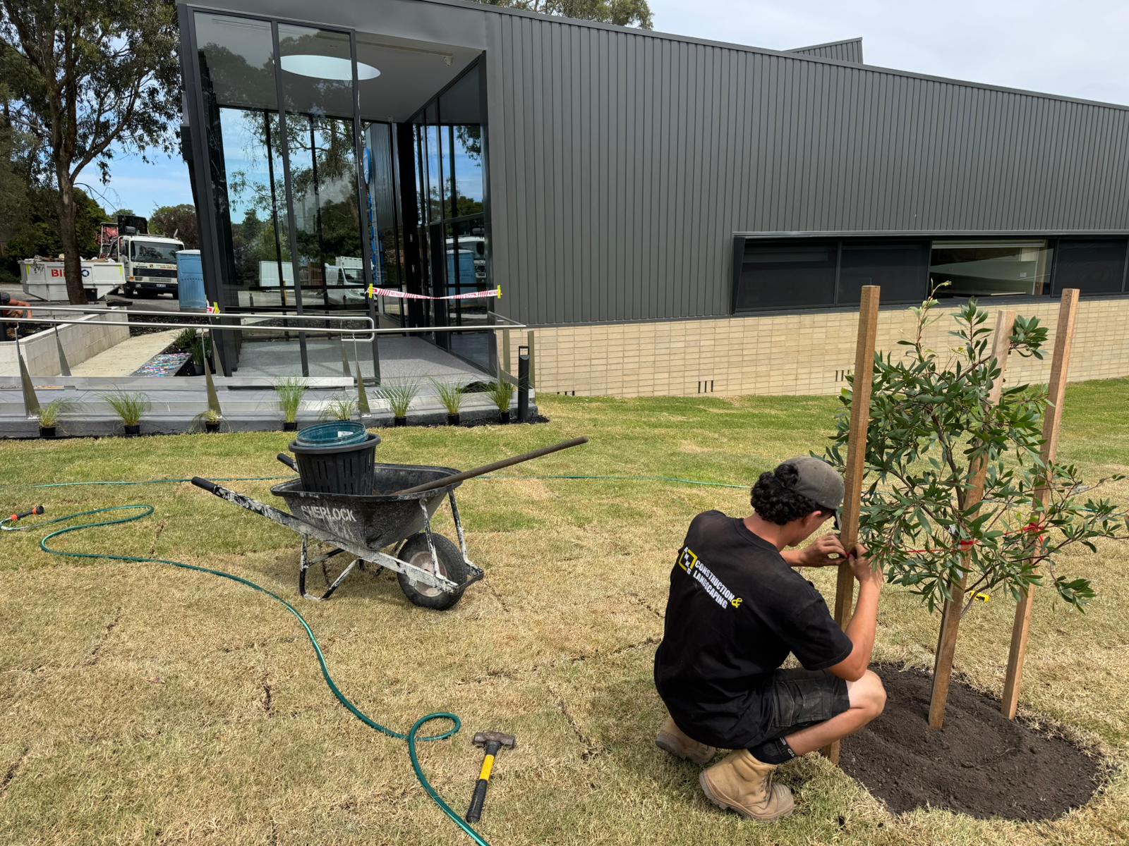 Tree being planted with a wheelbarrow on the St James Vermont grounds