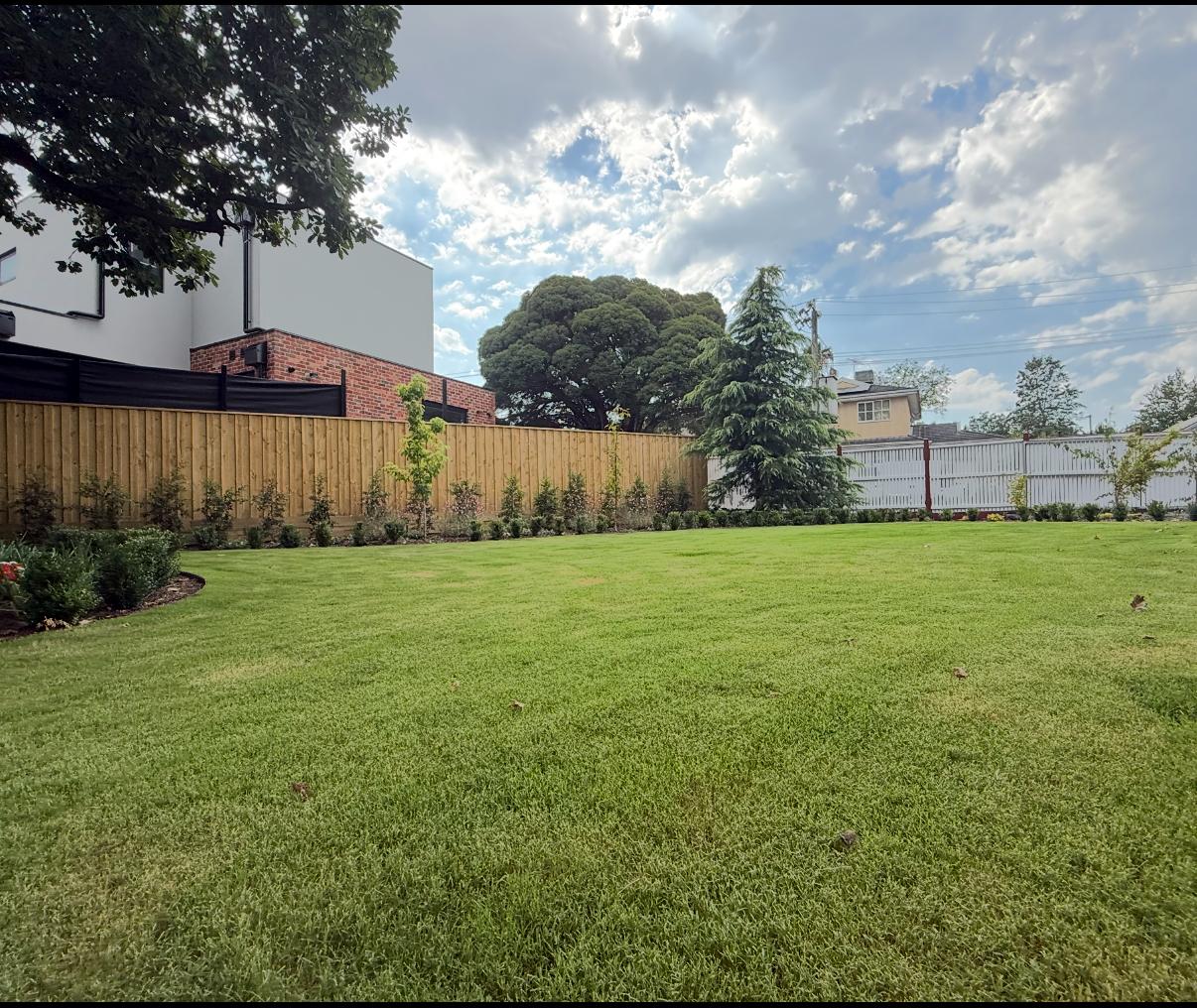 Rear lawn with new fence and planting
