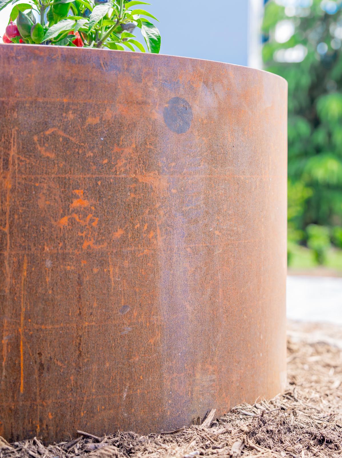 Corten steel planter at the entry of a North Balwyn home