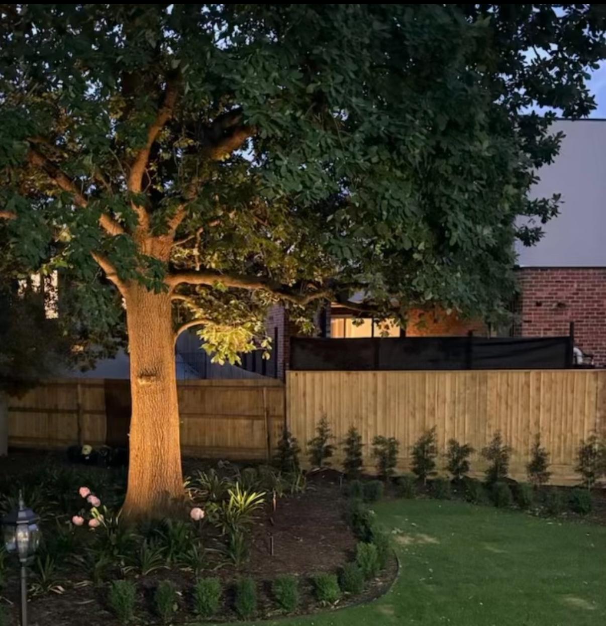 Garden uplighting illuminating a tree at night at a North Balwyn home